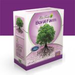 بورال فارم ( BORAL FARM )