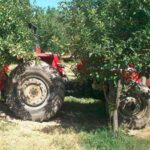 تراکتور ۲۸۵ جفت دیفرانسیل ساخت 1388