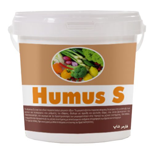 Humus s