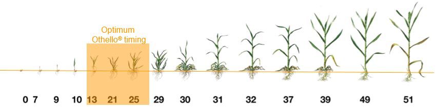 بهترین زمان مصرف علف کش اتللو او دی