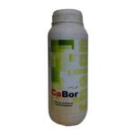 کود کا بر , Ca Bor