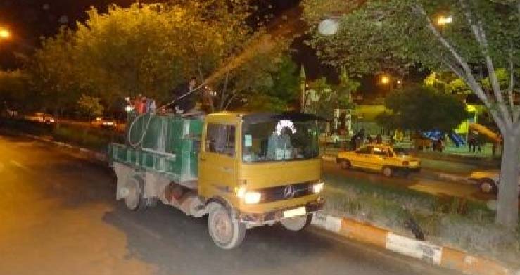 شستشوی درختان برای کاهش جمعیت کنه