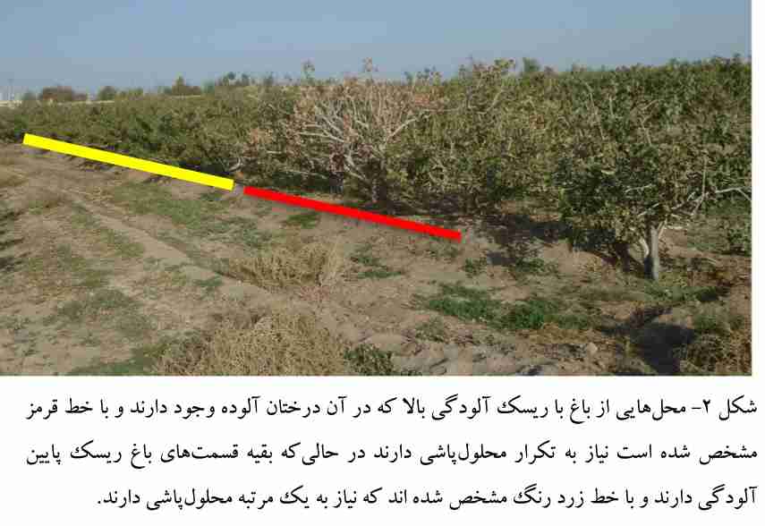 مکانهای با ریسک آلودگی بالا به گموز در درختان پسته