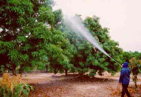 روش افزایش تاثیر سموم