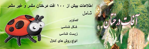 اپلیکیشن آشنایی با آفات درختان