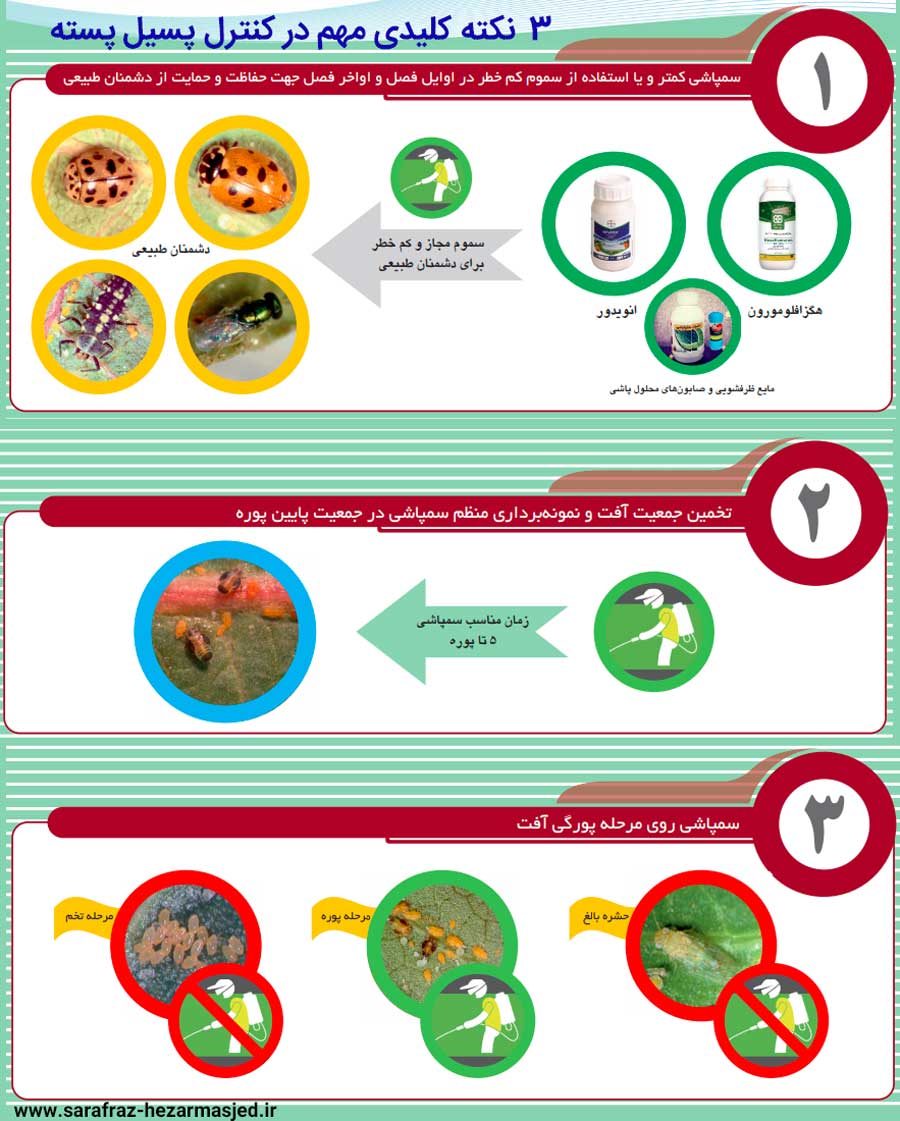 نات مهم و کلیدی در کنترل پسیل پسته یا شیره خشک پسته