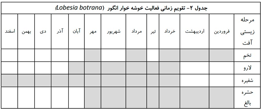 تقویم زمانی فعالیت کرم خوشه خوار انگور