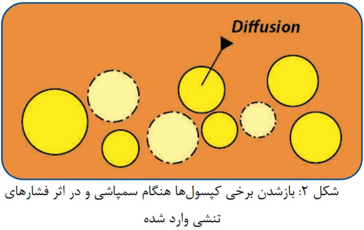 مکانیسم اثر علف کش پرول (Prowl)