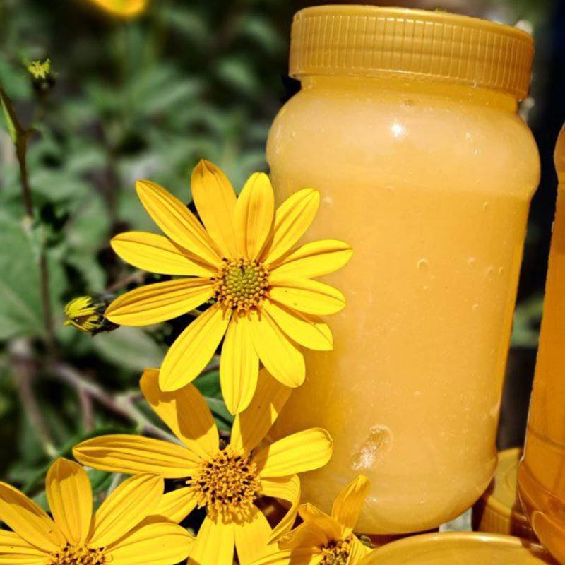 قیمت خرید عسل خارشتر