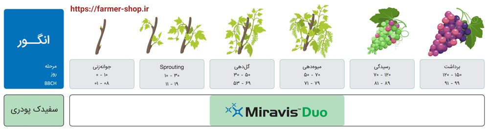زمان مناسب مصرف قارچ کش میراویس دو در انگور