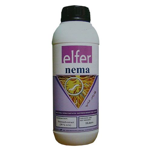 Elfer nema ( الفر نما )