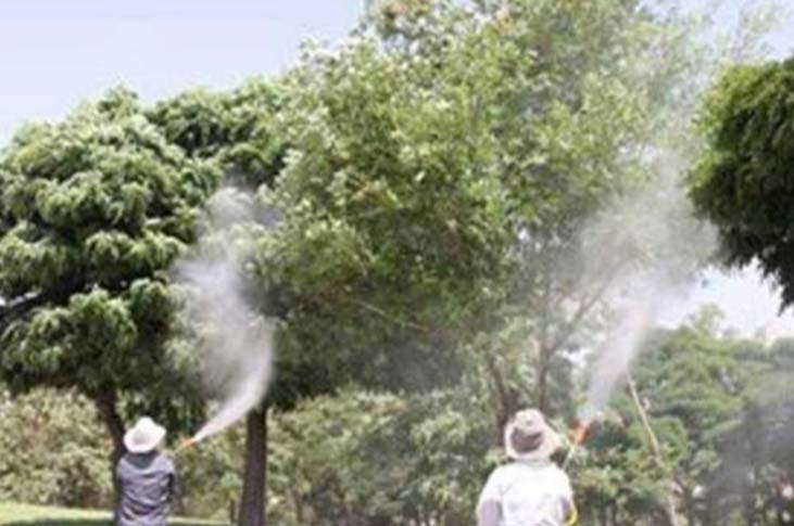 آبشویی درختان برای کاهش جمعیت سفید بالک
