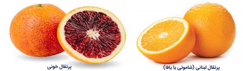 ارقام مرکبات پرتقال لبنانی (شاموتی یا یافا)- پرتقال خونی