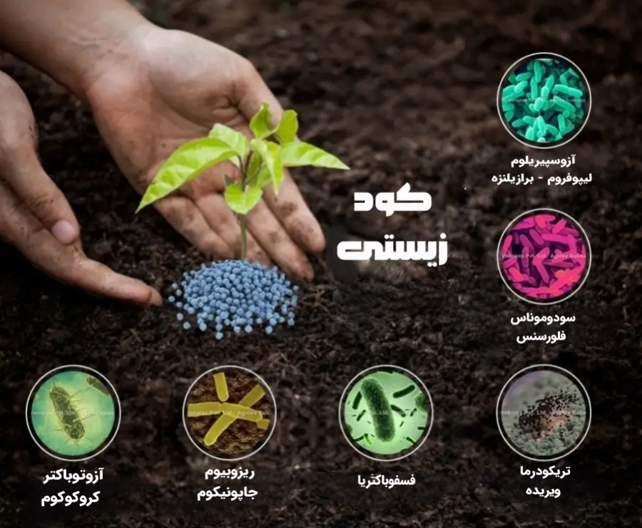 انواه مختلف کودها بیولوژیک و زیستی