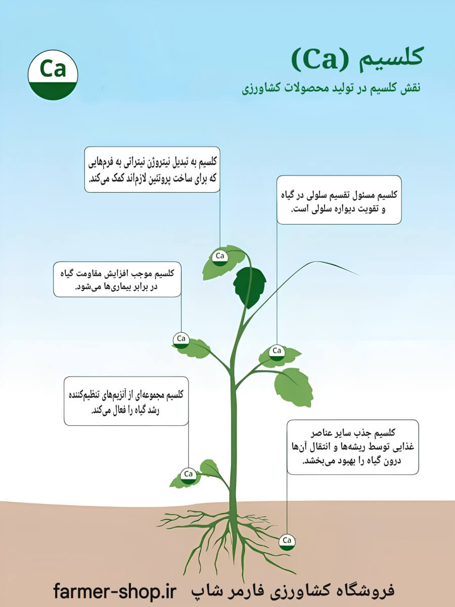 نقش کلسیم در گیاهان چیست؟