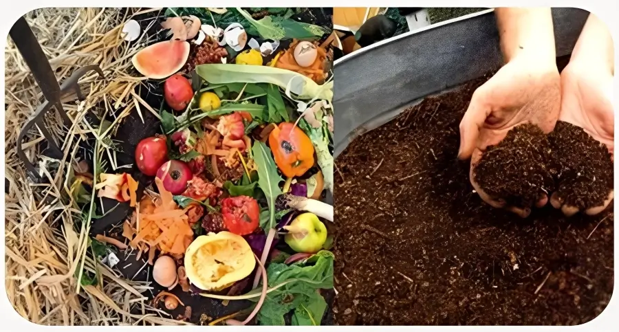 عرضه با کیفیت ترین ورمی کمپوست در فروشگاه کشاورزی فارمر شاپ