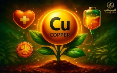 نقش مس در تغذیه گیاهان (تهیه و انتشار تصویر در فروشگاه فارمر شاپ)