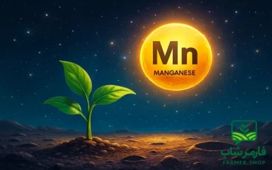 اهمیت و نقش منگنز در گیاهان