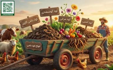 انواع کود دامی و خصوصیات و عناصر هر یک از آن ها