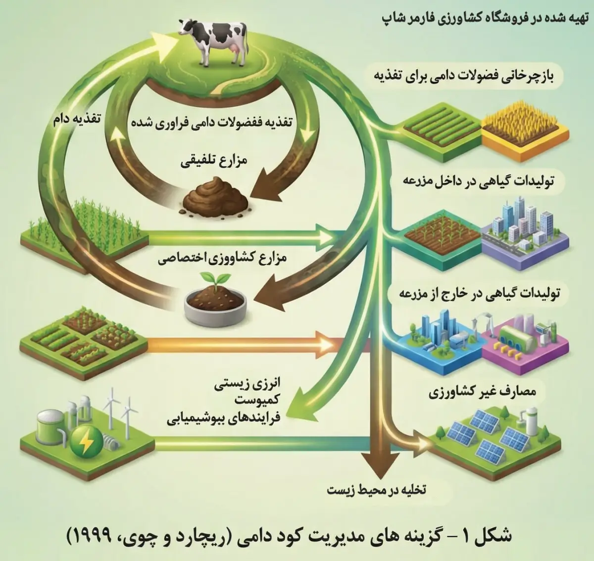 گزینه های مدیریت کود دامی