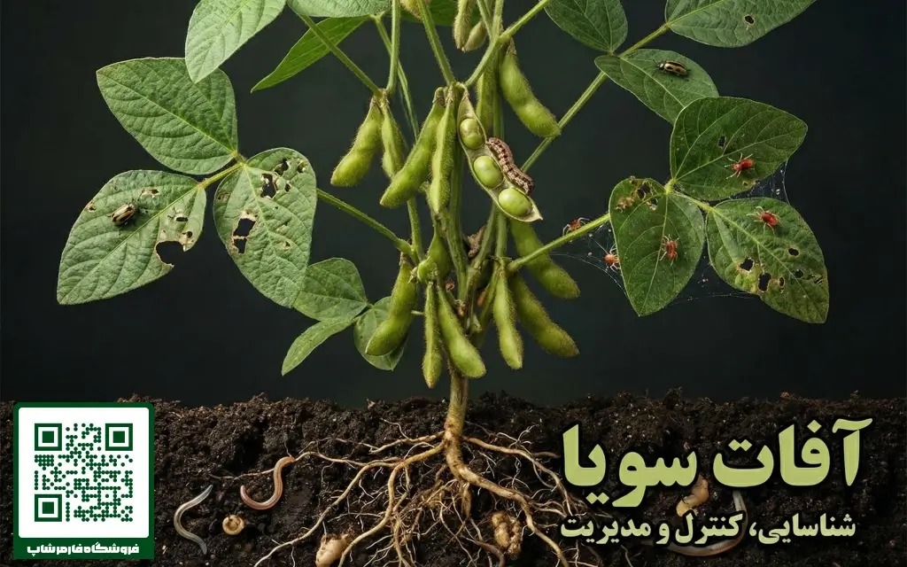 مهمترین آفات سویا و روشهای مبارزه و کنترل آنها