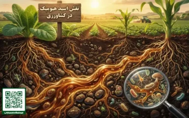 نقش اسید هیومیک در کشاورزی و گیاهان