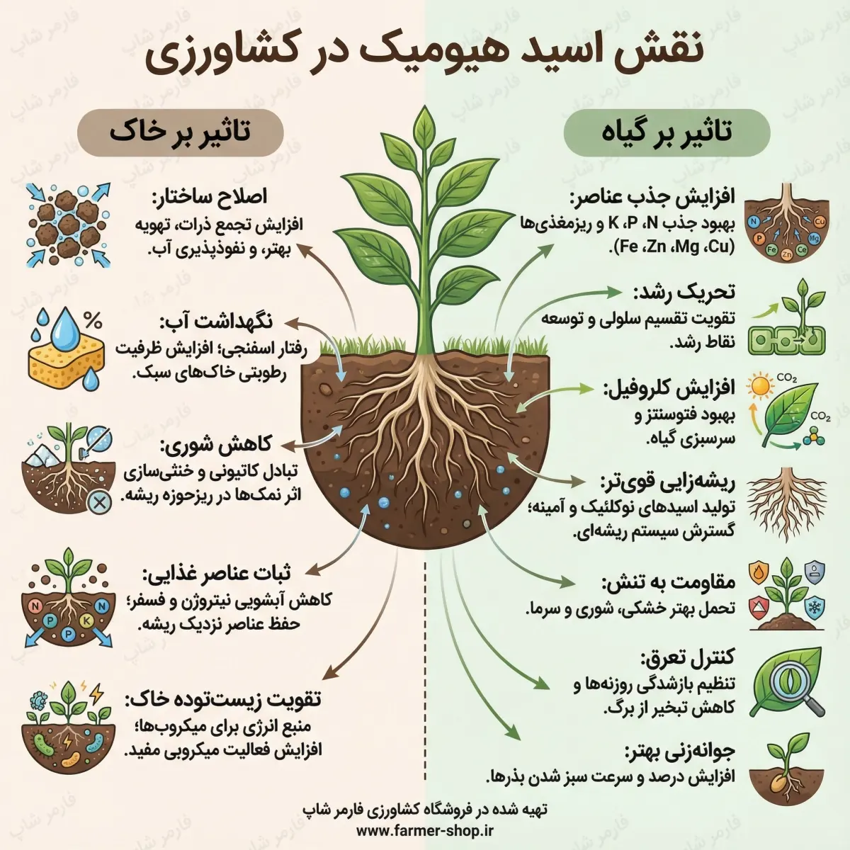نقش اسید هیومیک در بهبود خاک و افزایش عملکرد