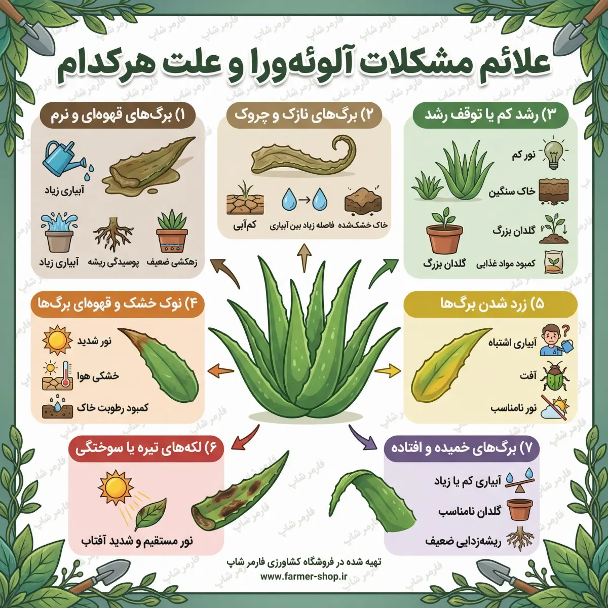 اینفوگراف مشکلات داشت و نگه داری آلوئه ورا و علائم آن