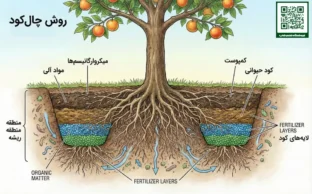 هر آن چه که باید در مورد روش کوددهی چالکود بدانید